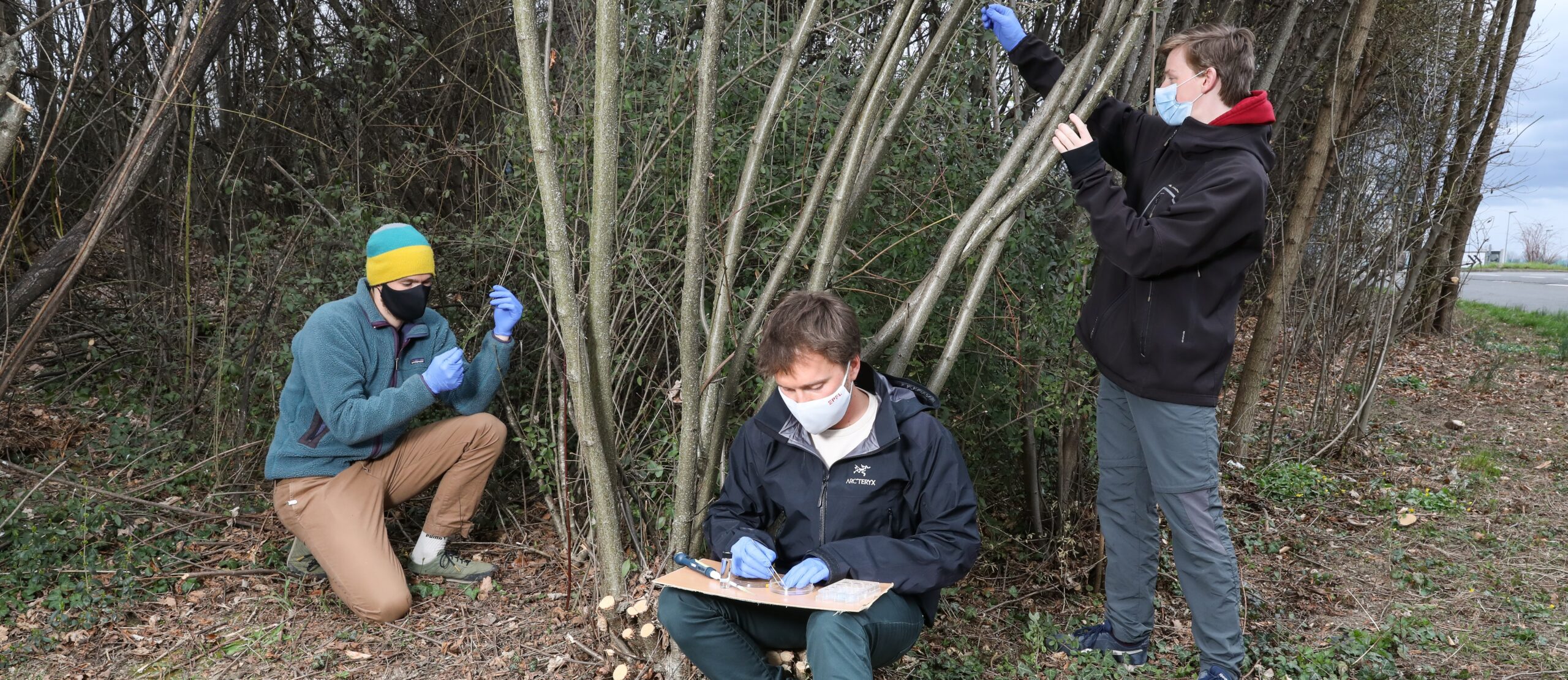 FloraDecode at the Swiss Border: Identifying Regulated Plant Species in Under 4 Hours